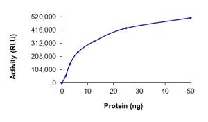 EGFR (d746-750 T790M C797S L858R), Active